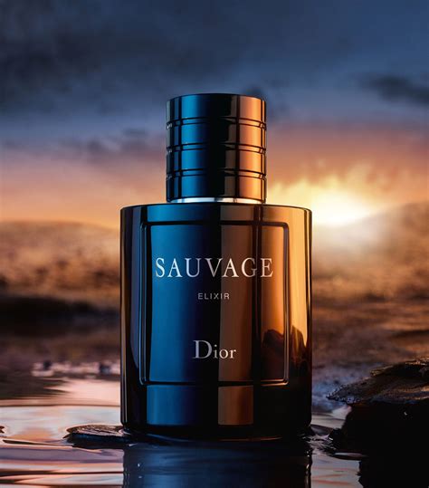 dior sauvage elixir 100ml price philippines|sauvage elixir price.